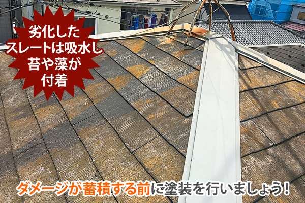 劣化したスレートは吸水し苔や藻が付着!ダメージが蓄積する前に塗装を行いましょう