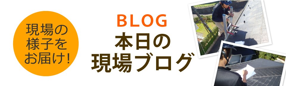 広島市、廿日市市やその周辺エリア、その他地域のブログ
