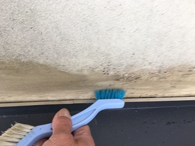 外壁の清掃