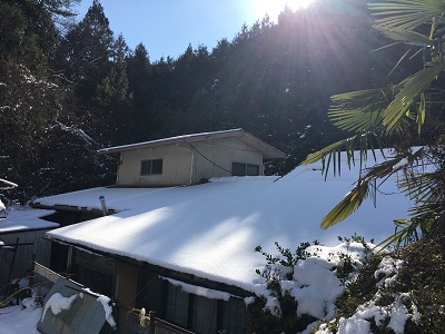 屋根に積もった雪